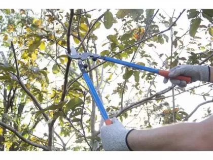 Tesourao De Poda Ps-30