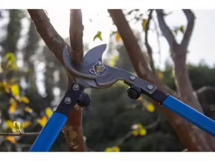 Tesourao De Poda Ps-30